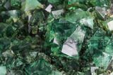 Green, Fluorescent Fluorite Cluster - Rogerley Mine #99454-1
